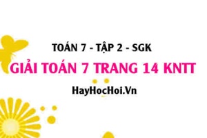 Giải Toán 7 trang 14 Kết nối tri thức Tập 2 SGK